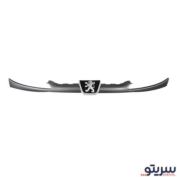 جلو پنجره پژو 206 رنگ خاکستری مدل 5643 برند کایان صنعت